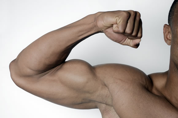 男性の腕の筋肉